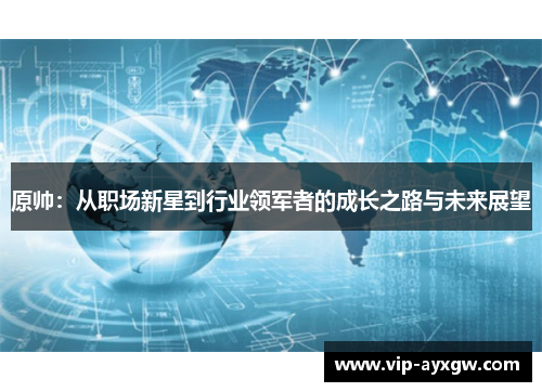 原帅：从职场新星到行业领军者的成长之路与未来展望
