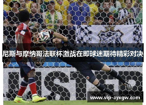 尼斯与摩纳哥法联杯激战在即球迷期待精彩对决